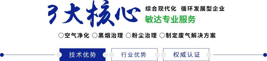 日日日屄图敏达环保科技（嘉兴）有限公司